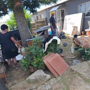 Community Initiatives
